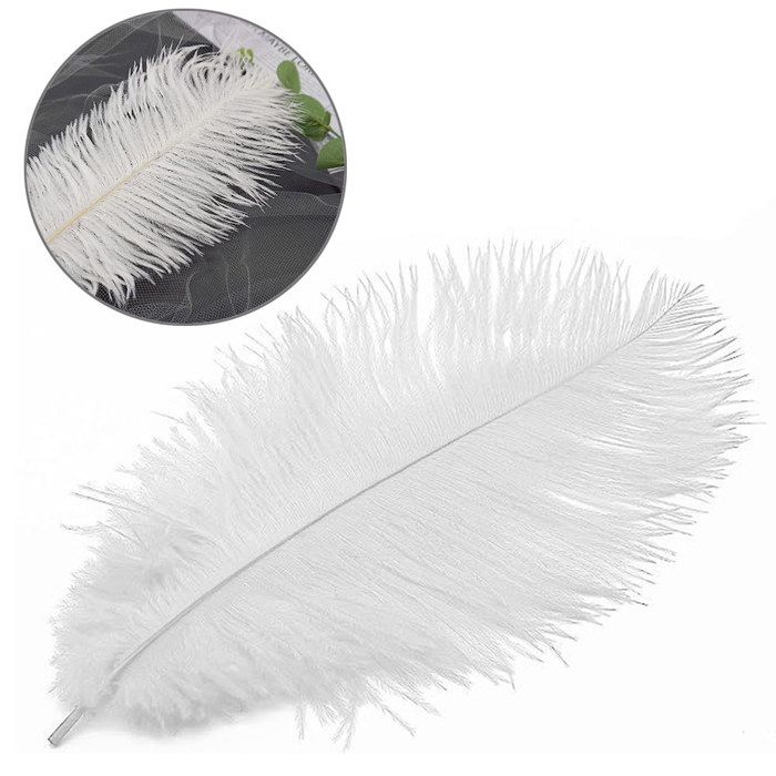 Lot de 50 plumes d'autruche blanches pour décoration de mariage