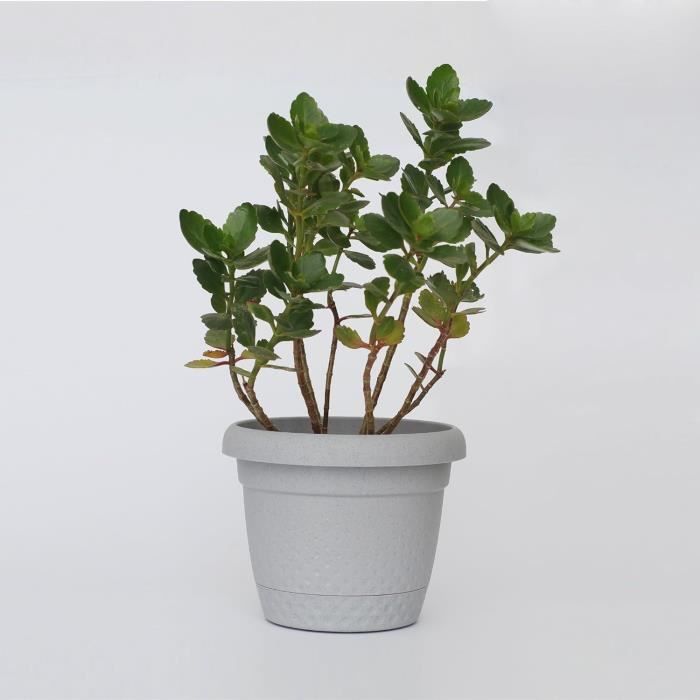 6 Pots Auto-arrosants 15 Cm - Avec Réservoir D'eau Et Soucoupe, Pour Plantes D'intérieur, Balcon