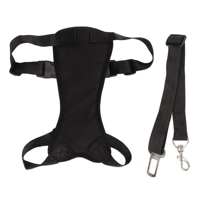 Pochette Néoprène Pour MP3 - Avec Boucle De Ceinture - Protection Anti-rayures - USA Gear