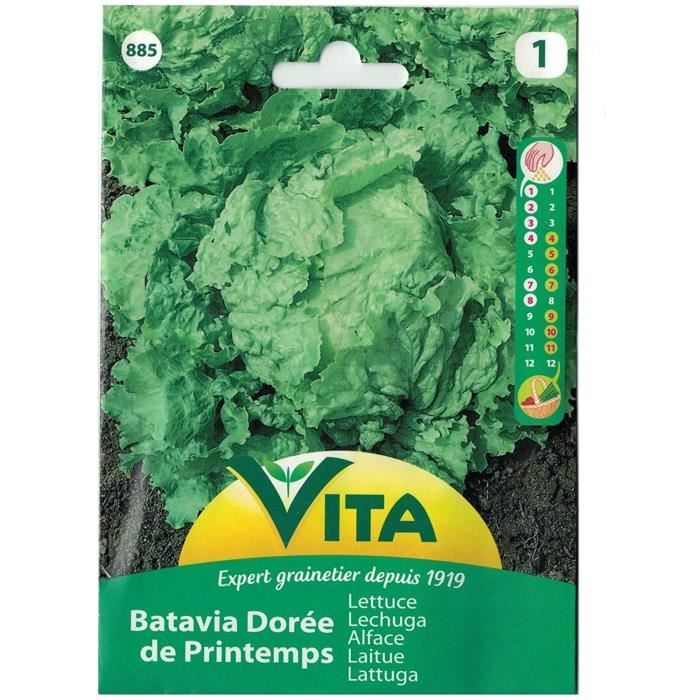 Graines Laitue Batavia Reine Des Glaces - Sachet 3g (≈1200 Graines), Variété Iceberg, Fabrication Française