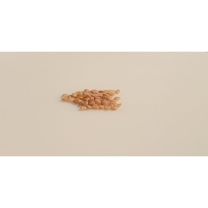 Graines De Tomate Ananas - Sachet De 50 Graines, Variété Ancienne, Gros Fruits Rouges Et Jaunes, Goût Incomparable