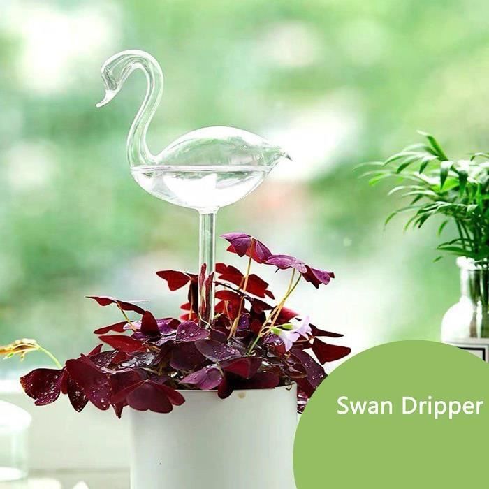 Arroseur GENERIQUE 2 globes d&rsquo;arrosage pour plantes en verre -  réservoir d&rsquo;eau arroseur pour plantes, goutte à goutte, intérieur  extérieur