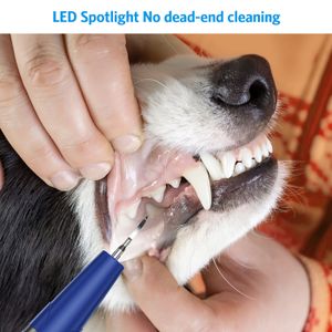 Nettoyeur Dentaire à Ultrasons Pour Chien – Élimine Plaque & Tartre – Sans Marque – Neuf