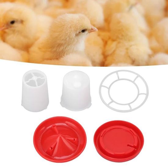 Mangeoire Et Abreuvoir Pour Poussins 160ml - Nourriture Et Eau Sécurisées Pour 6 Poussins