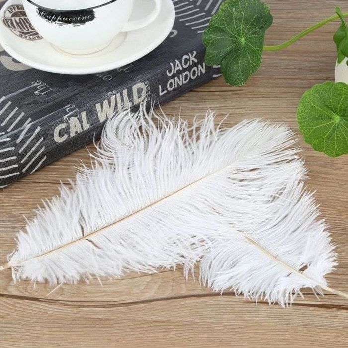 TUITA Grandes Plumes D'autruche Moelleuses, 10 Pièces, Plumes D'autruche Naturelles 50-55CM Pour Centres De Table De Mariage, Décoration De Fête De Carnaval