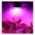 Ampoule Lampe Phyto LED Horticole 54 Watts Floraison Culture Intérieure Hydroponie Indoor-3
