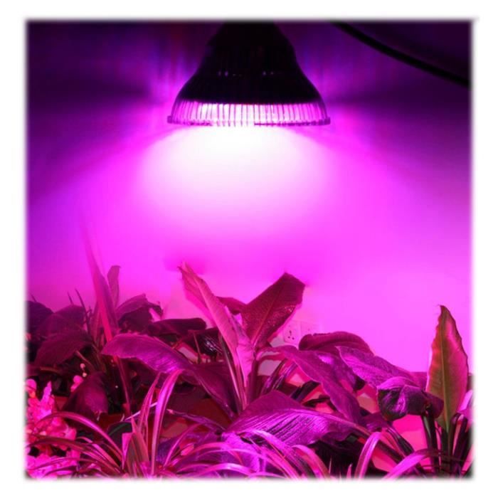 LED USB : Lampe horticole chronométrée pour culture hydroponique - Test et Avis