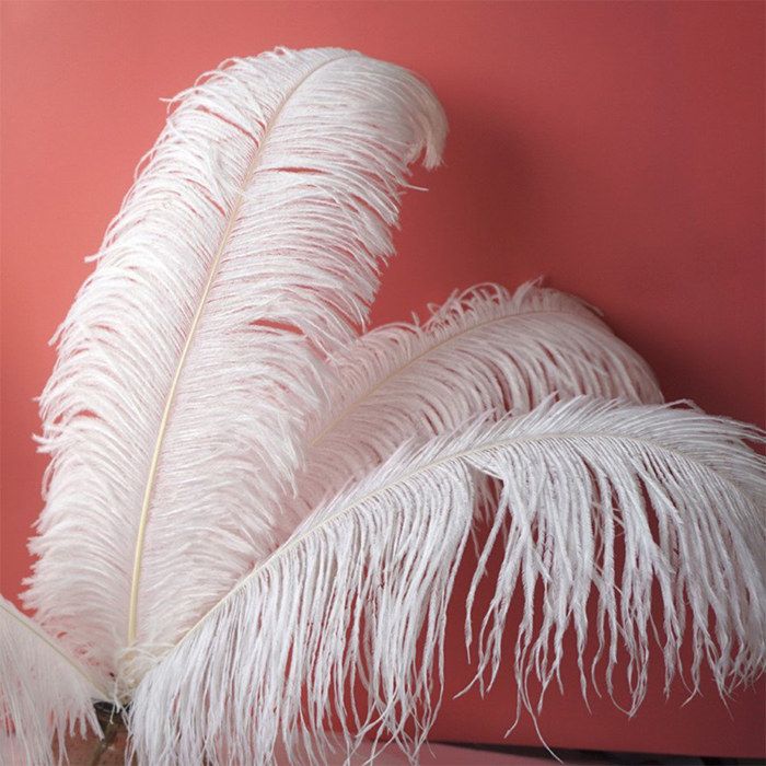30 Plumes D'autruche Violet Clair - 20-25 Cm - Idéal Pour Mariage, Décoration Maison Et Créations DIY - 9