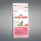 Croquettes pour chaton - ROYAL CANIN - KITTEN - Alimentation pour chaton - 2 kg - Petit