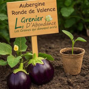 Lot De 850 Graines à Semer - Le Grenier D' Abondance