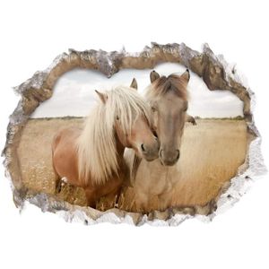 Stickers muraux chevaux - Cdiscount