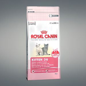 Croquette chaton royal canin - Cdiscount