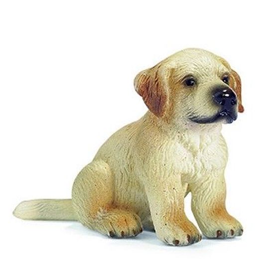 Chien Golden Retriever Bebe Cdiscount Jeux Jouets Chien Golden Retriever Bebe Cdiscount Jeux Jouets