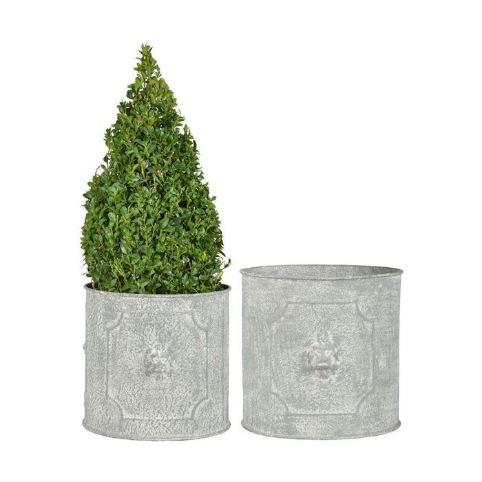 Pot de fleurs ronds Lion (Lot de 2) Gris