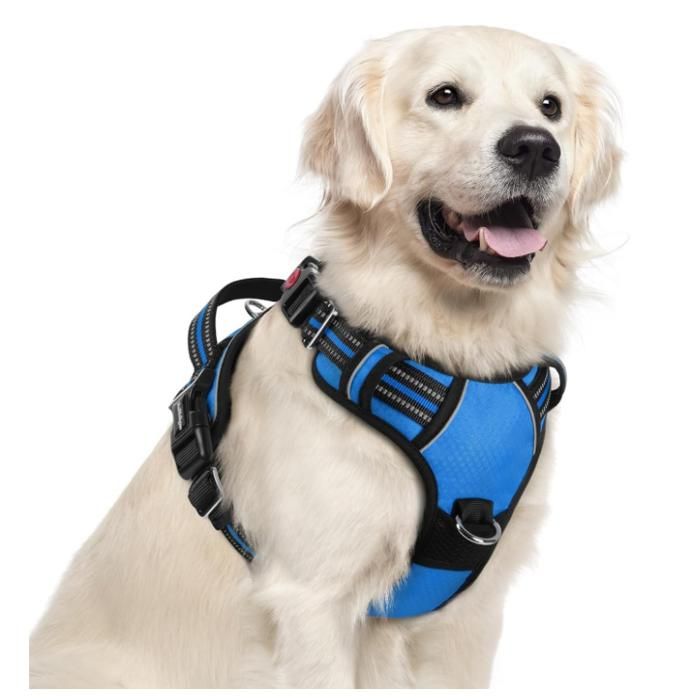 Meilleurs prix pour rabbitgoo Harnais Chien Anti Traction avec 3 boucles pour Chien Facile à Mettre Harnais Réfléchissant Réglable pour Chien Bleu XL
