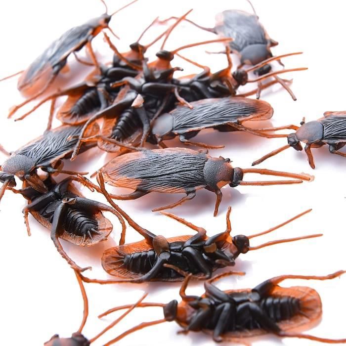 Acheter Figurines d'araignée simulées, jouets éducatifs pour enfants, Mini poupée de décoration de maison