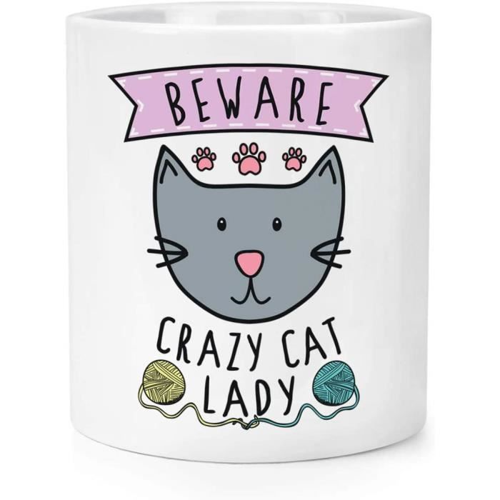 Attention Fou Chat Femme Maquillage Brosse Crayon Pot Cdiscount Beaux Arts Et Loisirs Creatifs