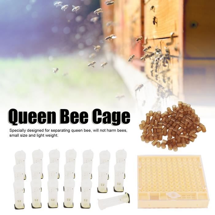 Cage de boîte d'élevage reine des abeilles Kit coupe cellules d'élevage en plastique équipements d'apiculture