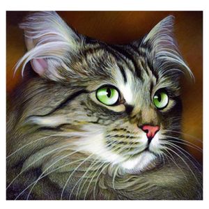 Kit Point De Croix Chat Achat Vente Pas Cher