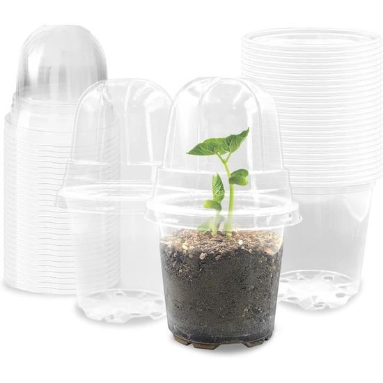 SOUCOUPES POT DE Fleurs En Plastique Transparent 1024 Pièces Tailles