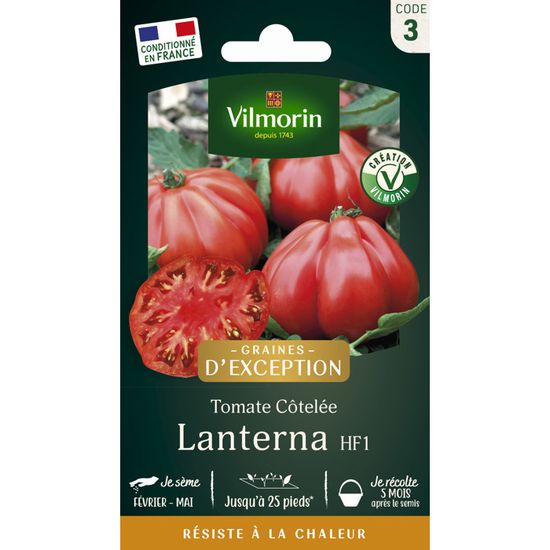 Fiore E Branca Di Sakura In Oro Rosso, Fiore Di Ciliegio, Lanterna