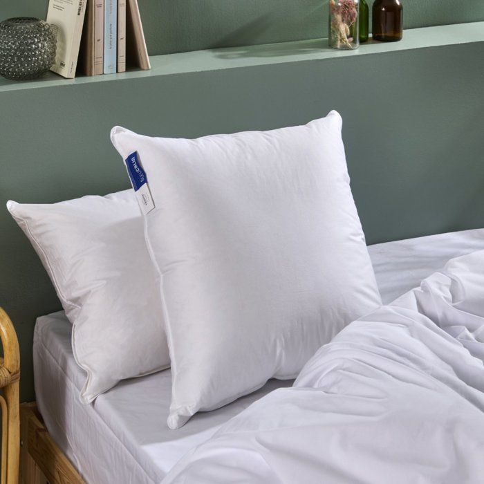 BLEU CALIN Oreiller Duvet de Canard 90% - Enveloppe percale de coton 101 fils/cm² - 50x70cm