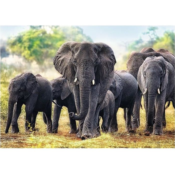 Puzzle 1000 pièces Éléphants africains
