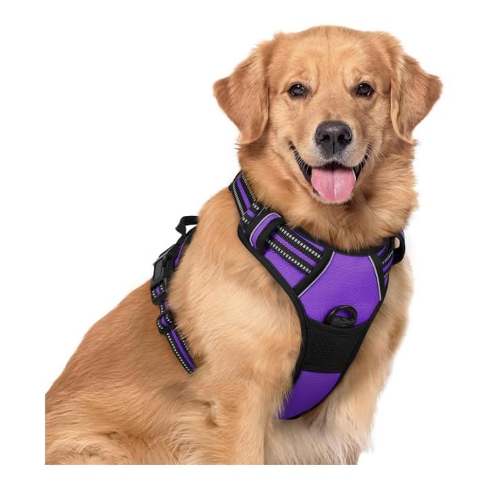 Comparer les prix de Harnais Chien L Arnais Violet Anti Traction Réfléchissant Gilet Réglable pour Chien Grand Taille, Attache Devant Crochet de Laisse
