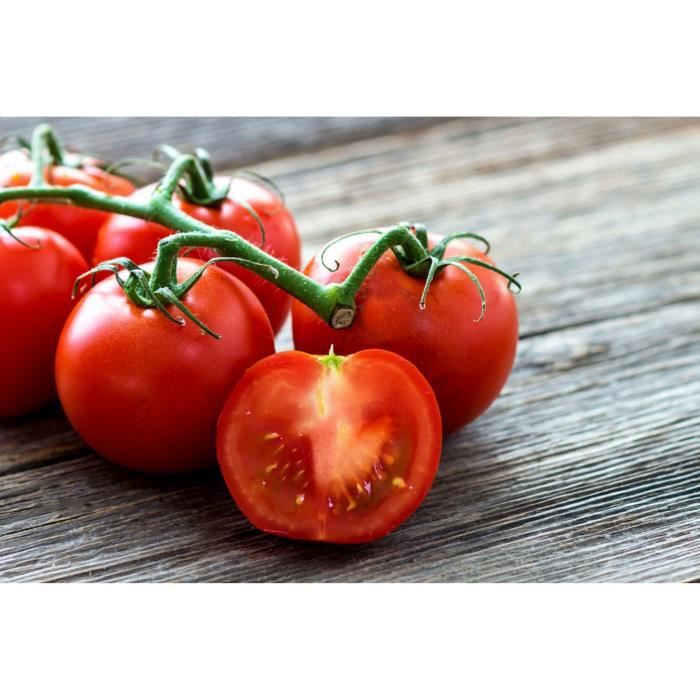 30 Graines de Tomate Saint Pierre - légume ancien jardin potager - méthode BIO