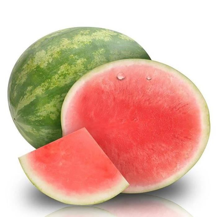 50pcs Graines De Melon Pasteque Sans Pepins Graines De Fruits Des Varietes Vegetales Fraiches Bonsai D Ete Cool Cdiscount Animalerie 50pcs Graines De Melon Pasteque Sans Pepins Graines De Fruits Des Varietes Vegetales Fraiches Bonsai D Ete Cool Cdiscount Animalerie