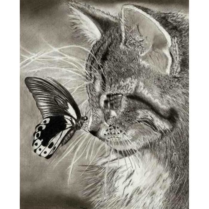 Yzw 5740 Chat Et Papillon Bricolage 5d Diamant Peinture De Broderie Point De Croix Accueil Decor Artisanat I Multicolore Cdiscount Maison