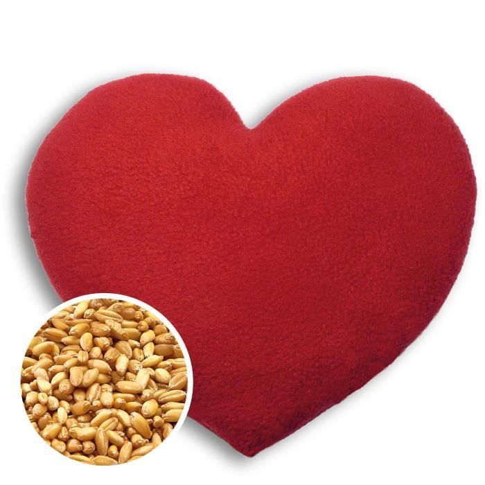 Leschi COUSSIN CHAUFFANT soulage les maux de dos ventre