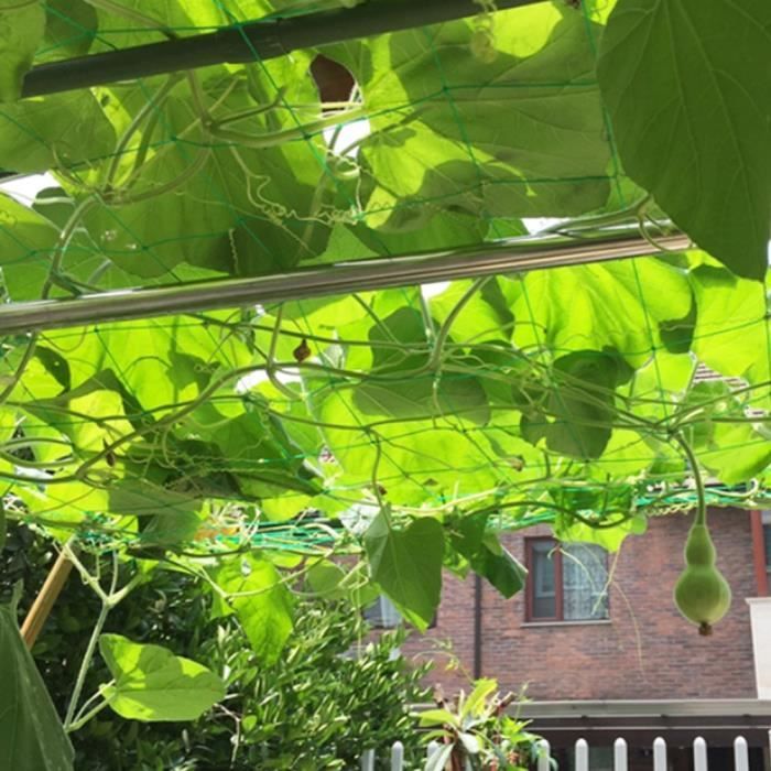 Filet De Treillis élastique Pour Plantes - 100x100 Cm, Avec Crochets, Support Robuste | Pour Tentes De Culture, Jardinage Intérieur - 11