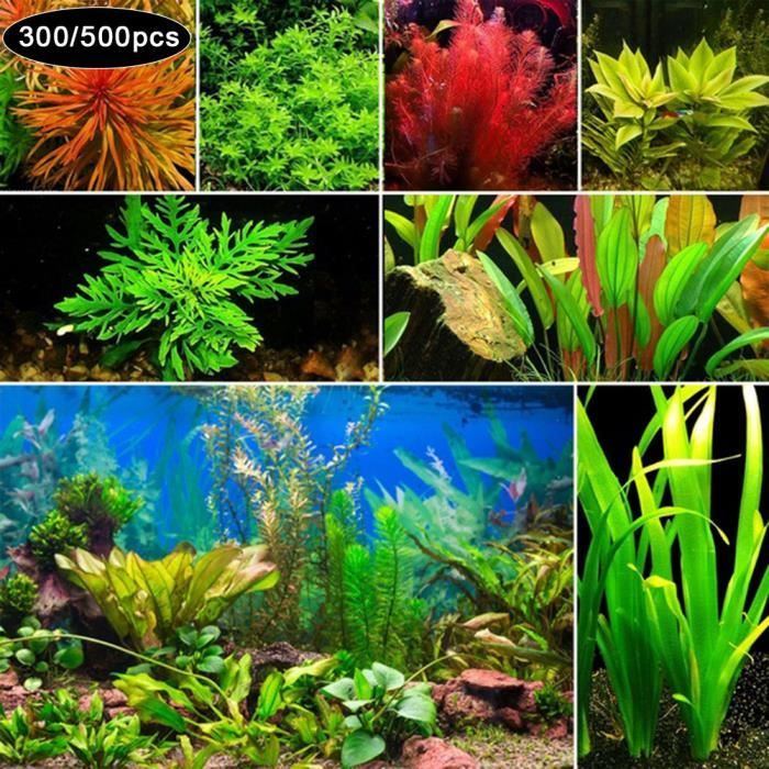 300500Pcs Graines De Plantes Aquatiques, Graines De Plantes D’aquarium Mixed Style1