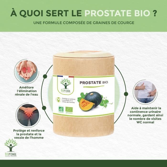 Complément Alimentaire Artemisia Bio - 200 Gélules - Fabriqué En France - BIOPTIMAL