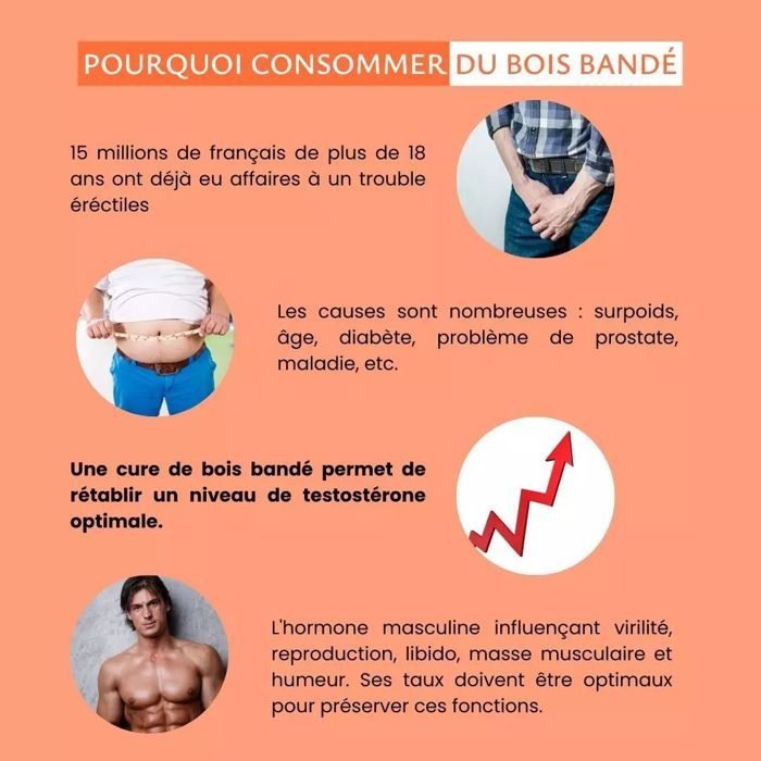Complément Alimentaire Bois Bandé LaboPhyto 60 Gélules - Maca Naturel - Neuf