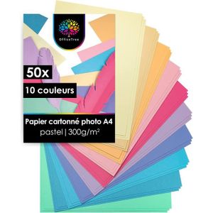 Bloc papier cartonné 50 feuilles A4 300g 25 couleurs assorties