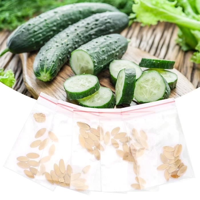 50pcs - sac graines de concombre bon goût vert en bonne santé végétal plante de jardin en croissance-LAT