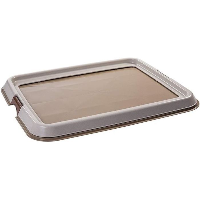 IRIS OHYAMA Plateau d'apprentissage à la propreté Pet Tray - FT-650 - Plastique - 65 x 55 x 4 cm - Beige - Pour chiot