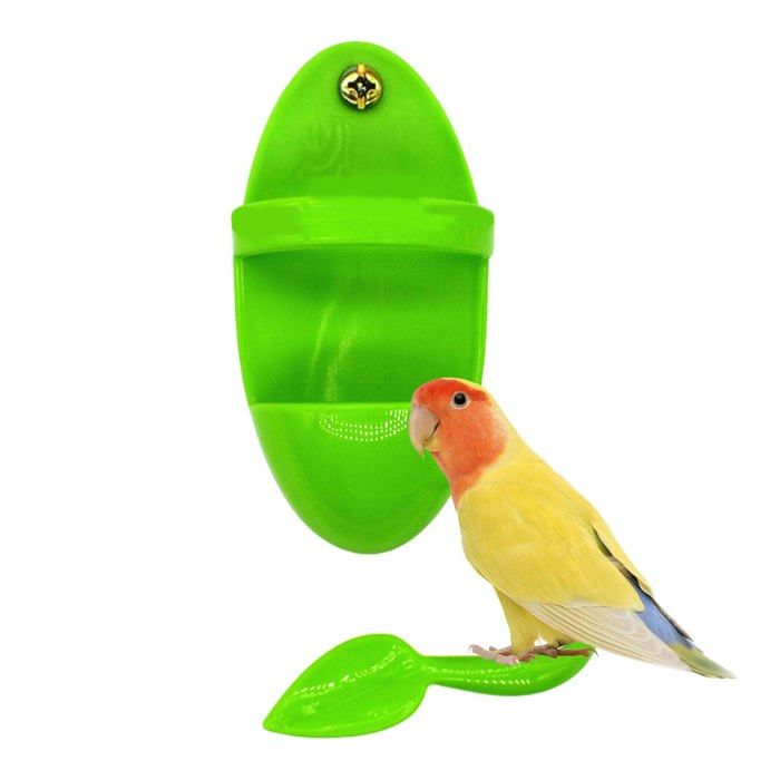 Porte-os de seiche pour Oiseaux Tasse dalimentation pour Perruche Accessoires pour Cage à Oiseaux