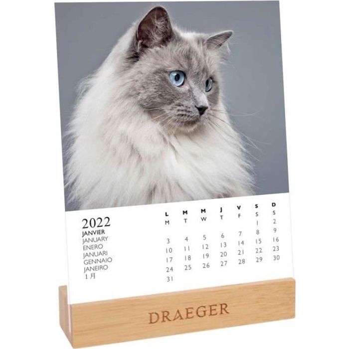 Calendrier Sur Socle Chevaux 2023 Draeger Paris - 12 Fiches Mois, 7 Langues, Socle Bambou | Décoration Bureau équestre écoresponsable