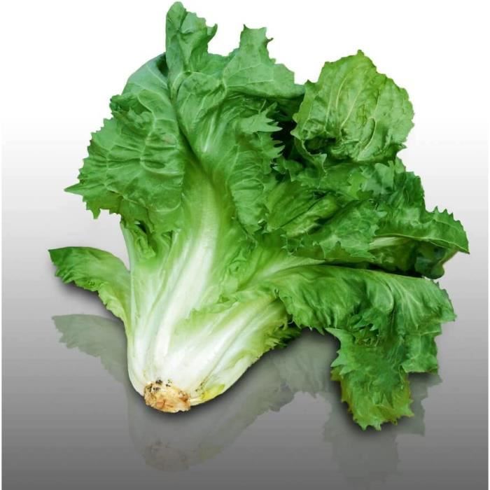 Griglia Auto In Alluminio 100x33 Cm - Rete Universale Per Paraurti E Prese Aria - Foto 12