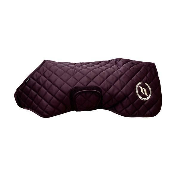Manteau chien Back on Track night collection - bordeaux
