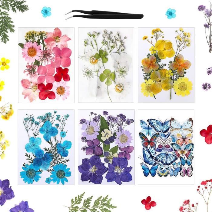 Assortiment Fleurs Séchées Pressées Naturelles - Marguerites, Hortensias, Feuilles D'Érable Pour Scrapbooking Et Art