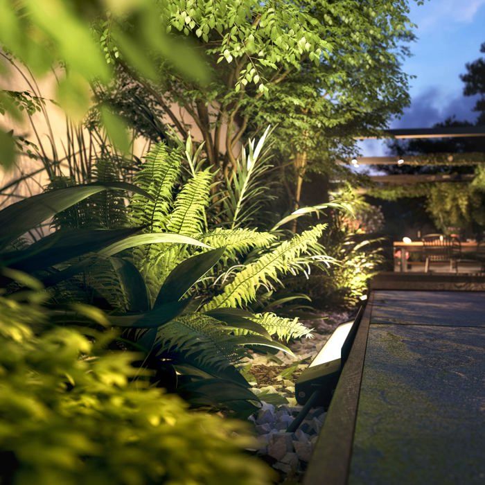 Lampe LED Hue Amarant d' extérieur