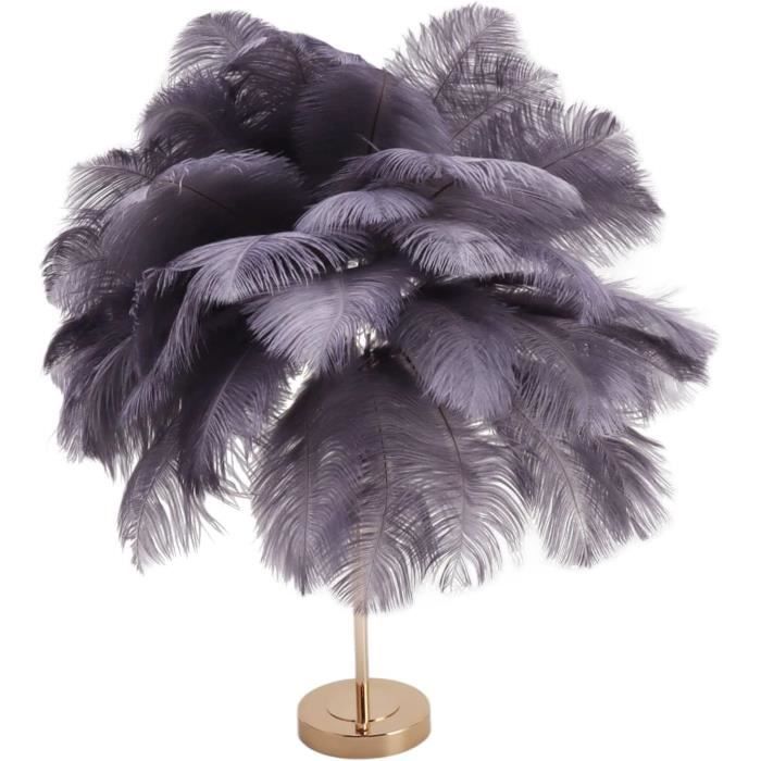 AvgnLxqe lampadaire sur pied salon,160cm led Plume d'autruche naturelle