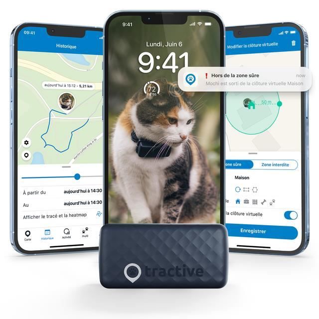 Traceur GPS chat: le meilleur modèle de 2021, test et avis