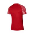 T-shirt NIKE Drifit Academy Rouge - Homme/Adulte-1