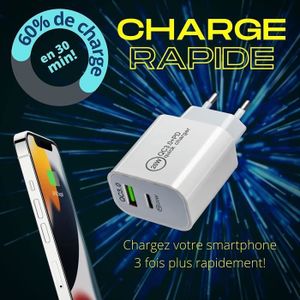 CHARGEUR RAPIDE DE batterie de véhicule Motorola NNTN7619 APX 6000 7000