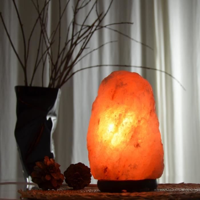Lampe en Cristal de Sel de l'Himalaya The Body Source - Naturelle et  fabriquée à la main avec base en bois - 2-3kg - Achat & prix
